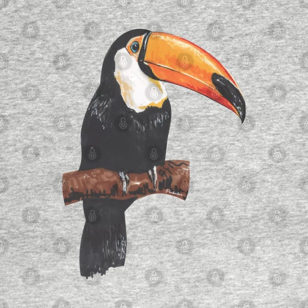 Toucan by Pendientera